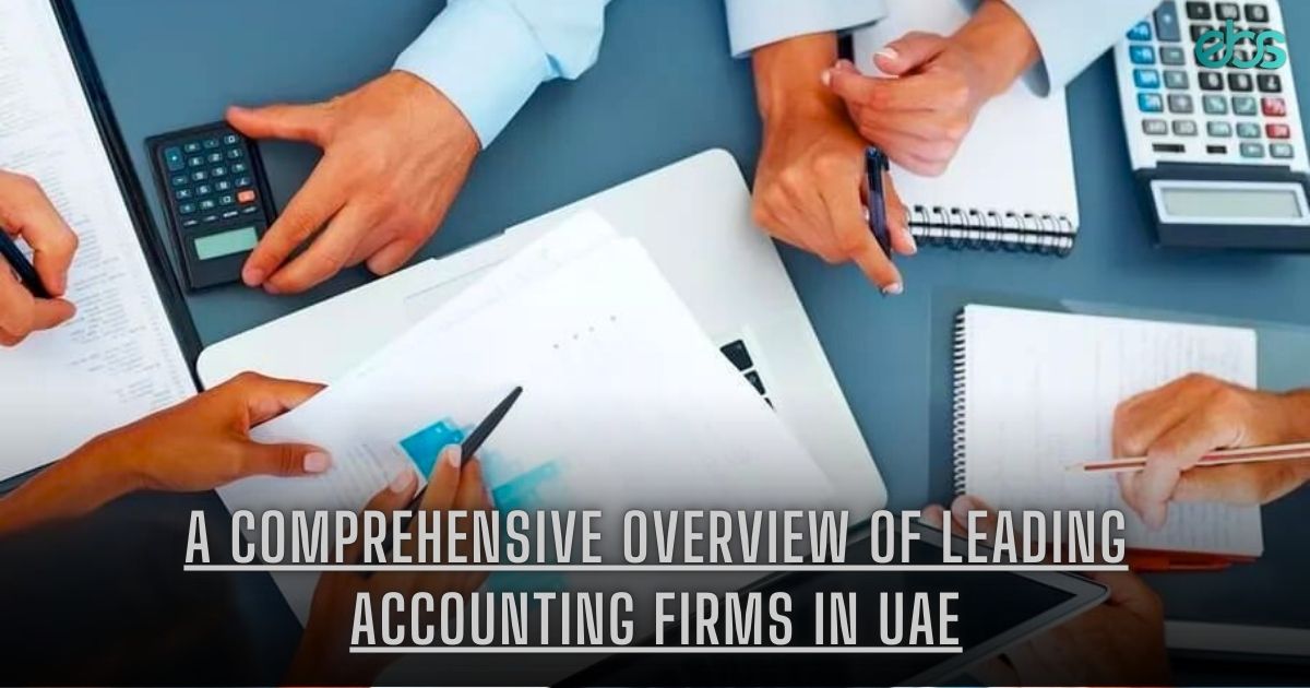 Accounting Firms in UAE