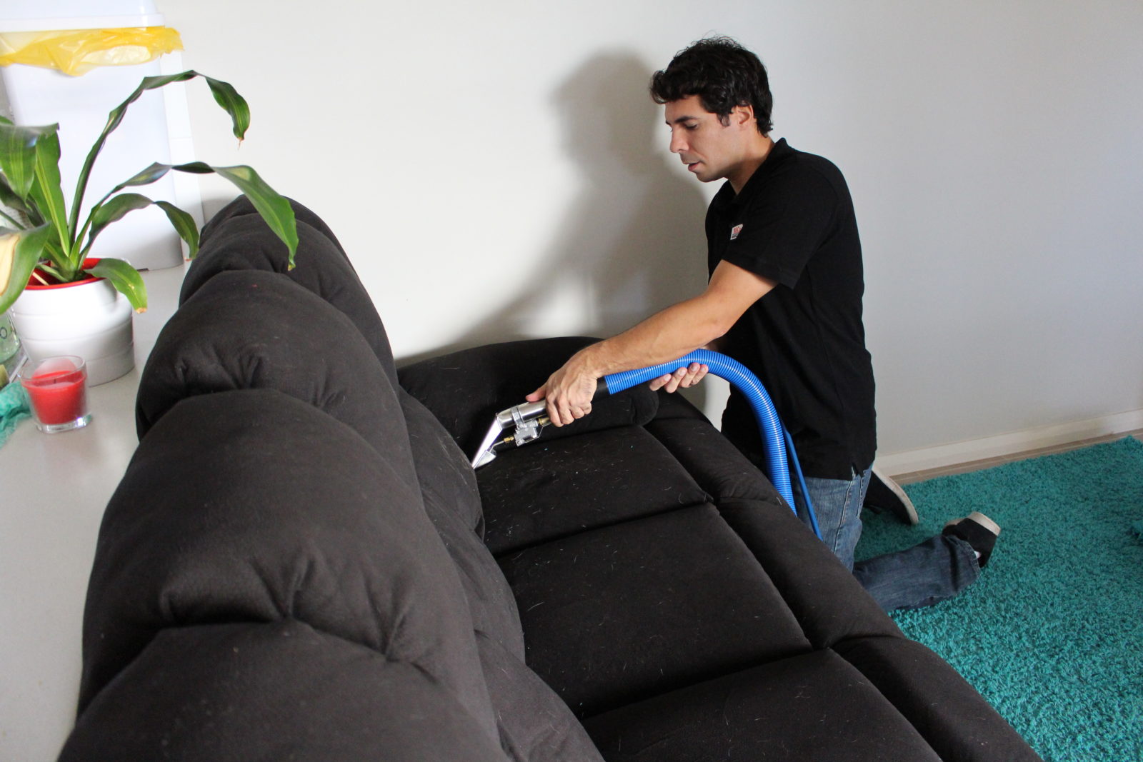 Eco-Friendly Sofa Cleaning Solutions in Cremorne