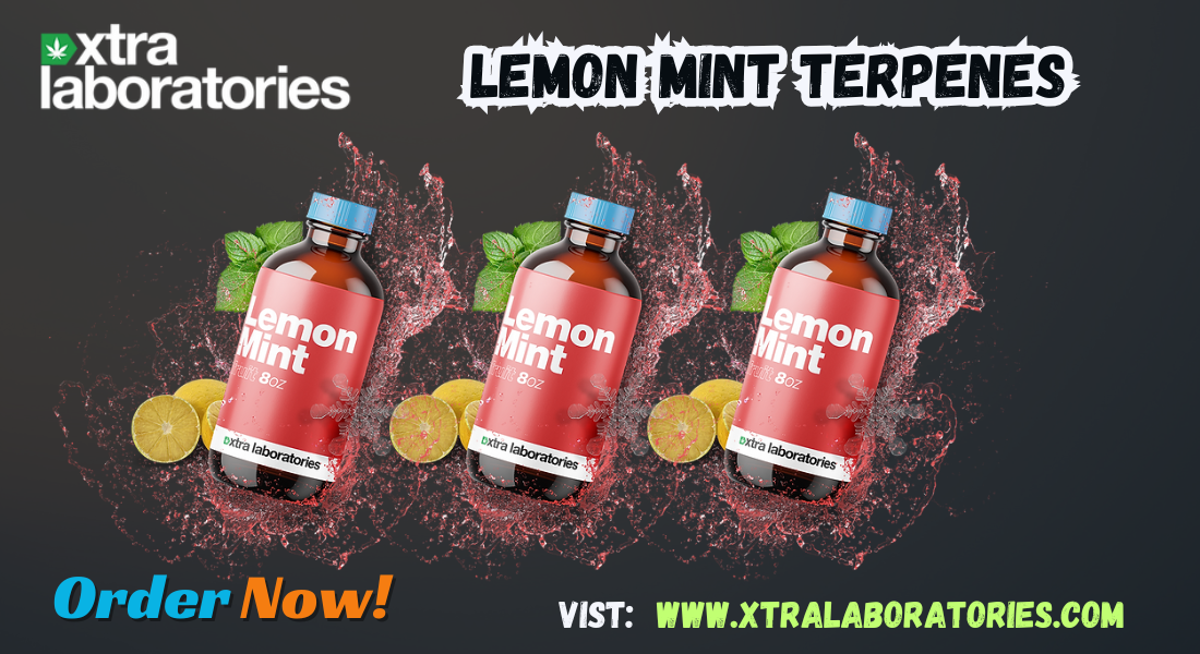 Lemon Mint Terpenes