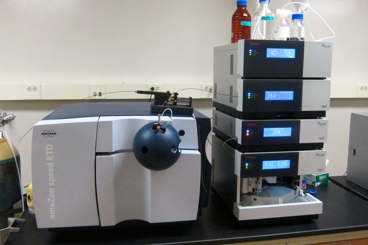 LC-MS ANALYSIS