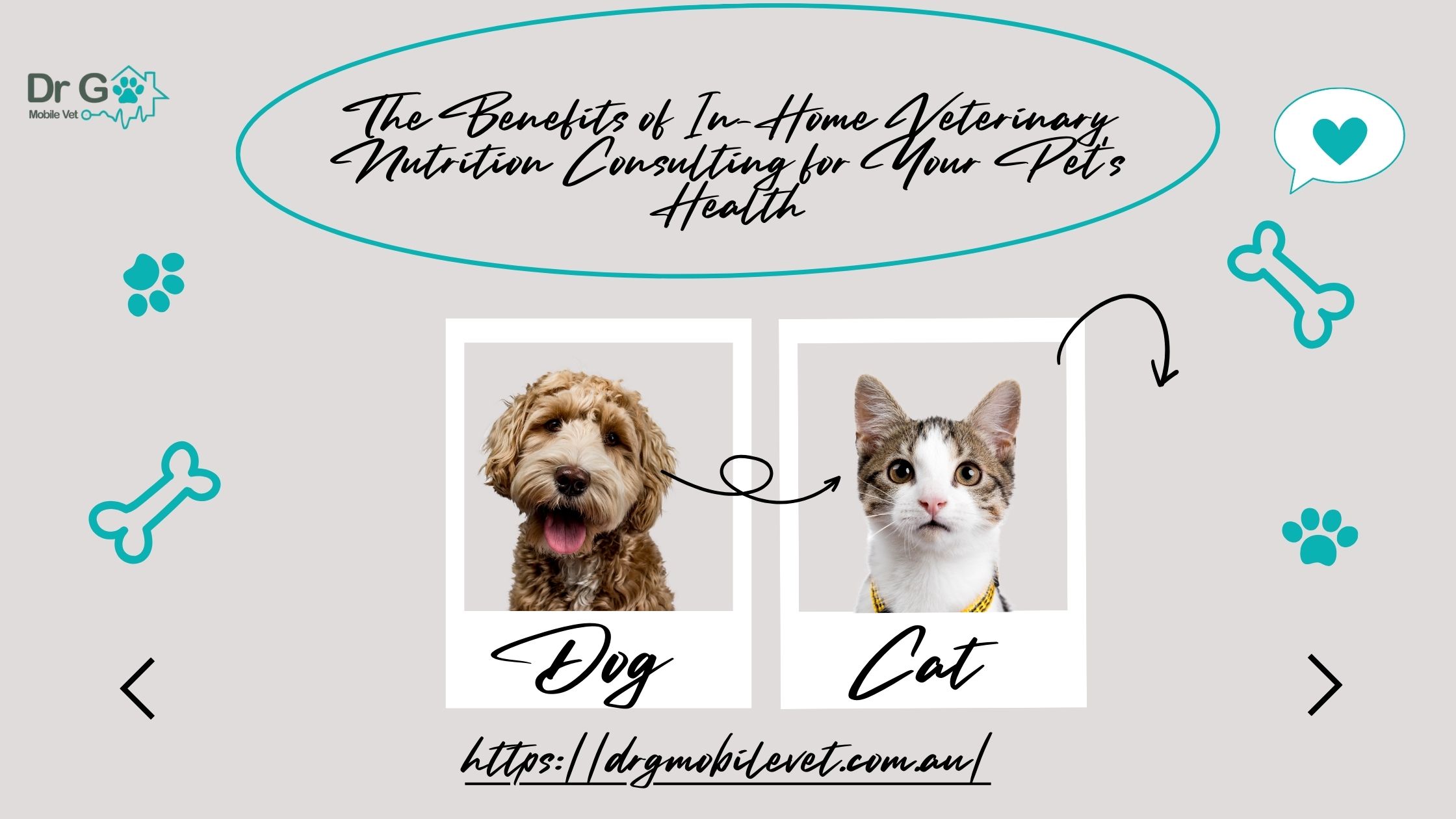 in-home veterinary nutrition consulting