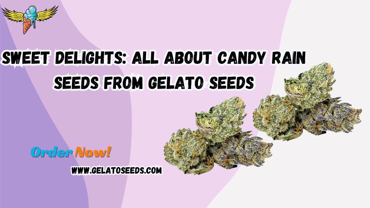 Candy Rain seeds