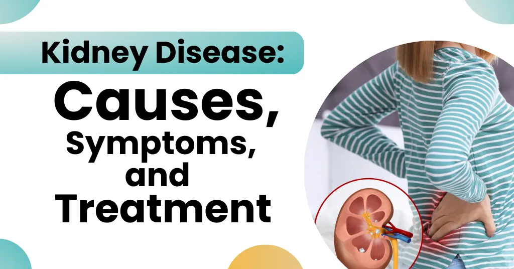 kidney-disease:-causes,-symptoms-and-herbal-treatments