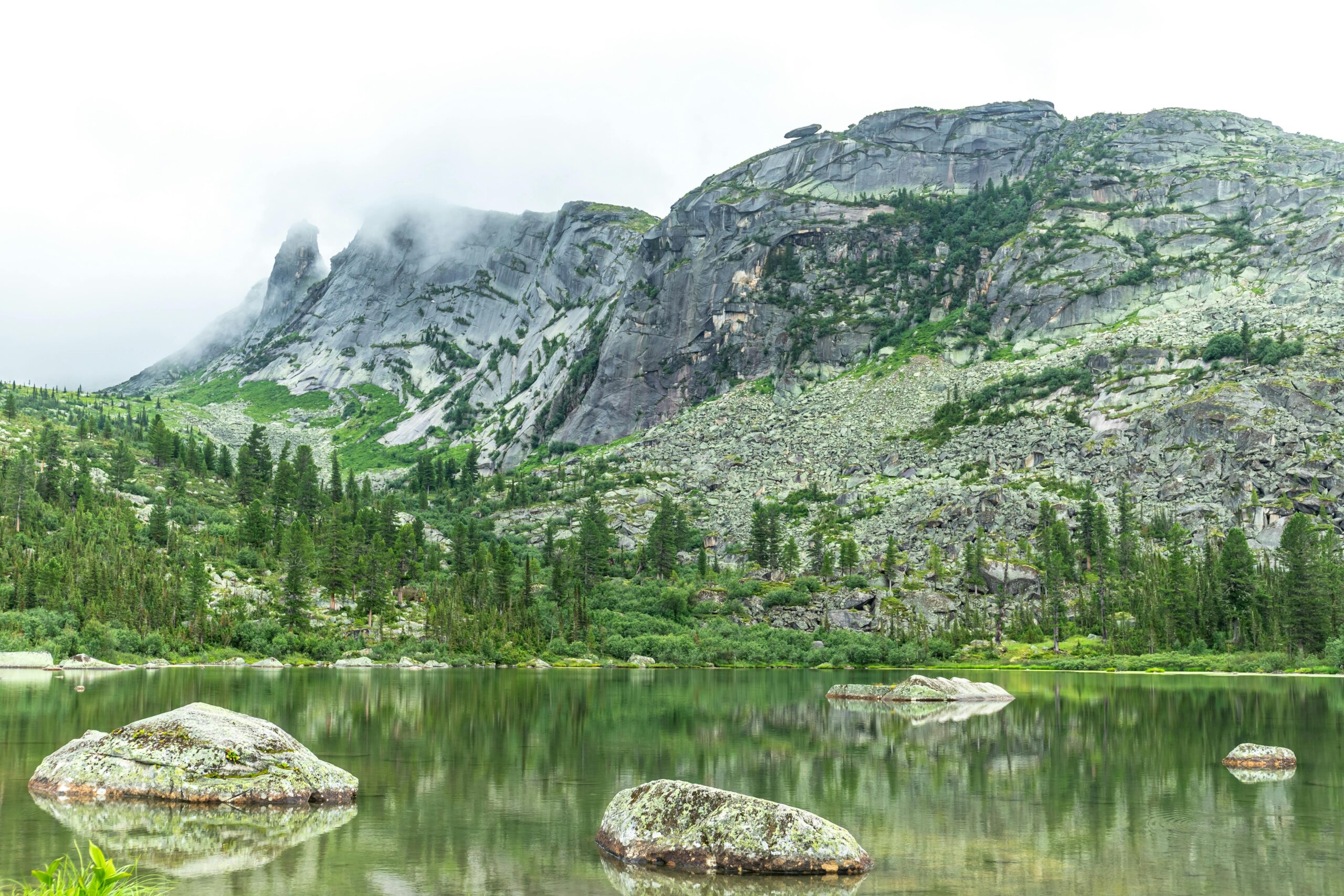 Silent Meadows Trek