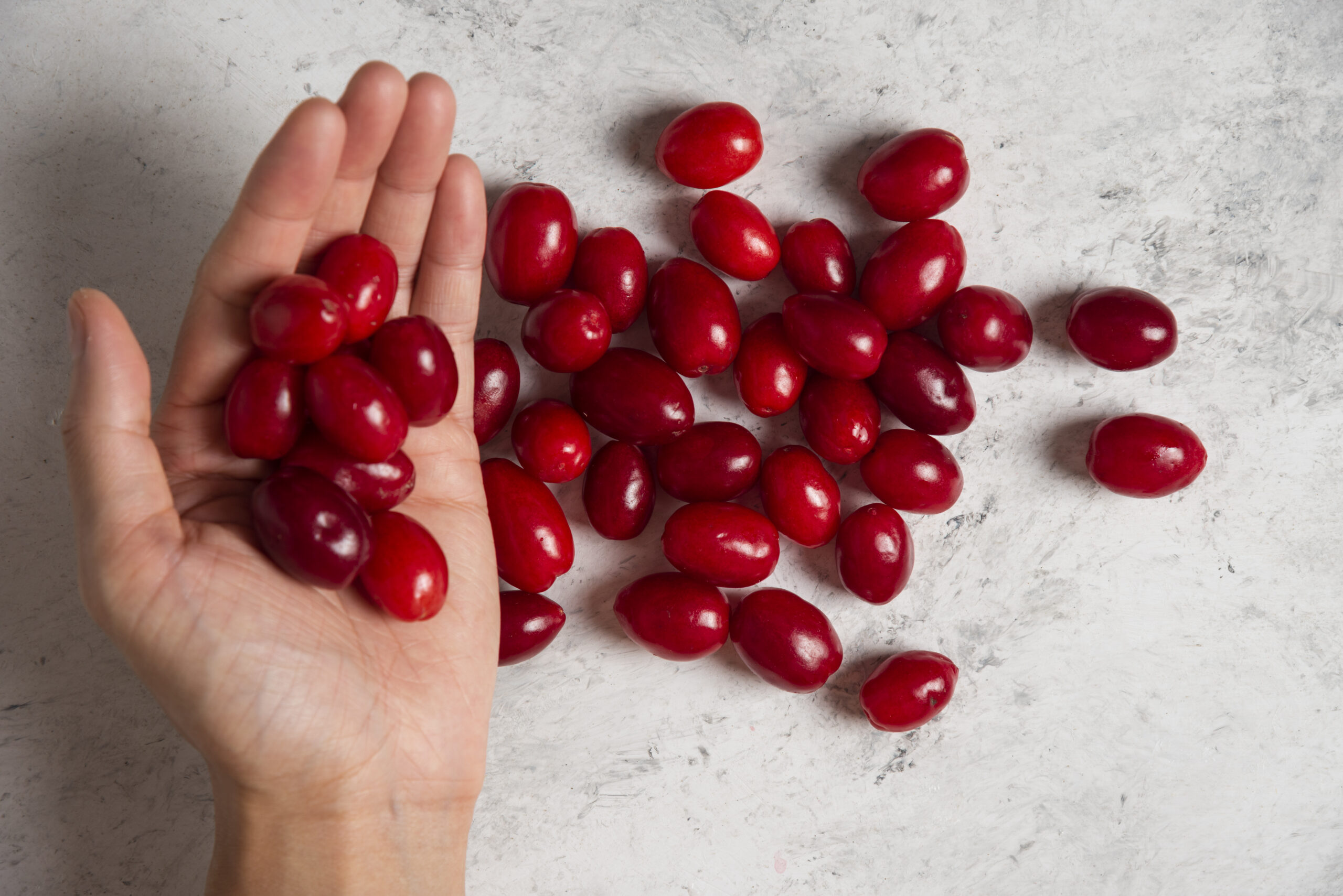 Montmorency Cherry Capsules for sleep