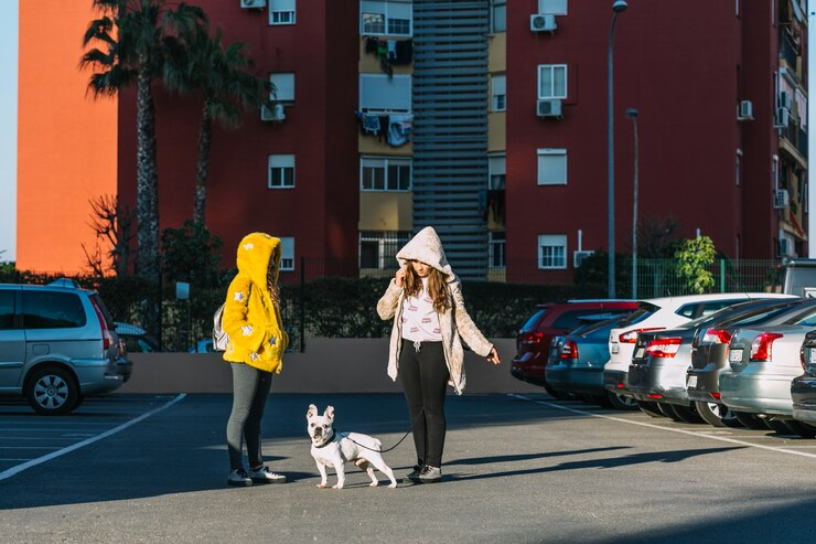 Dog Walkers in New Orleans